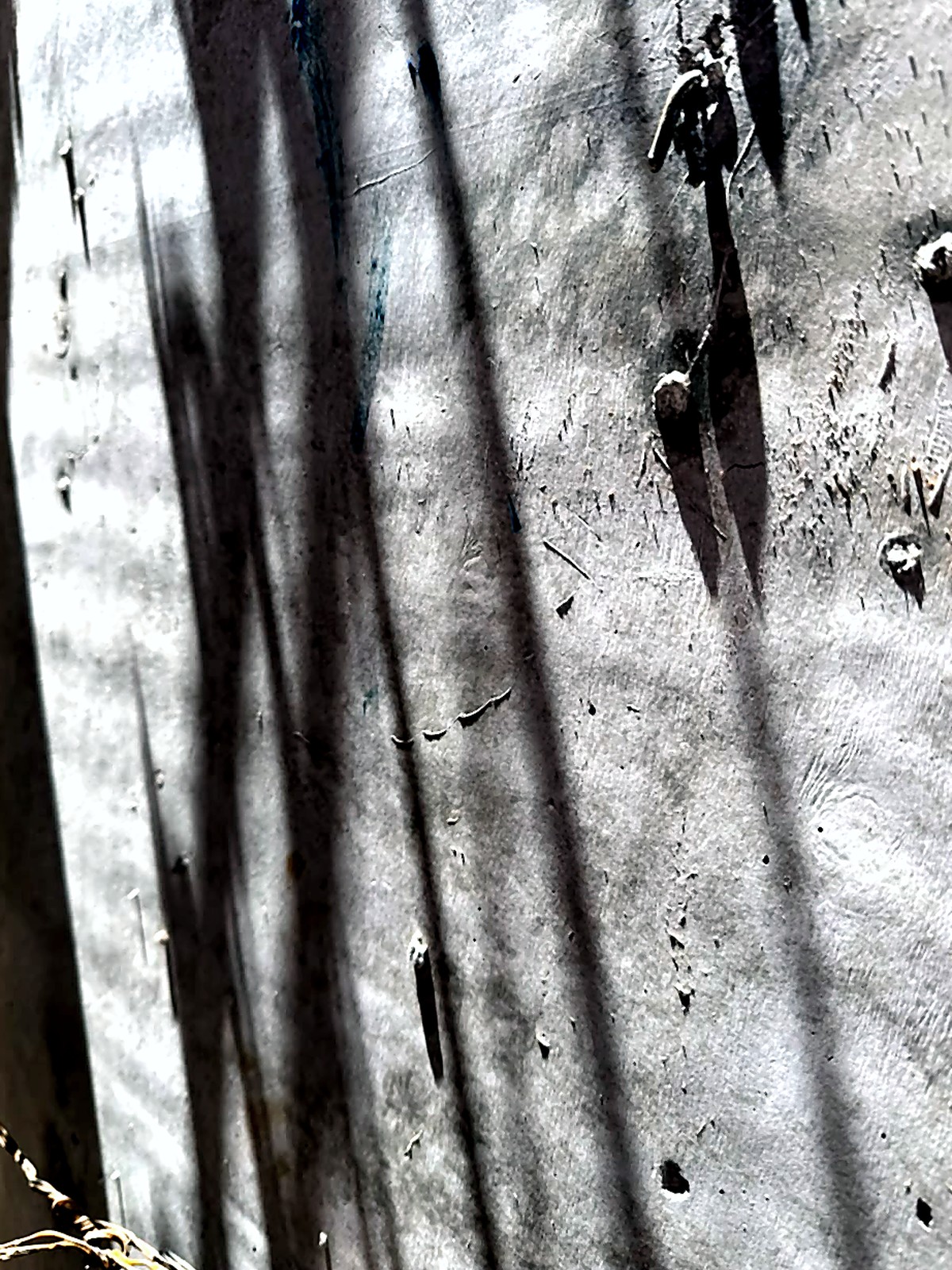 Sombra de varillas sobre muro de obra